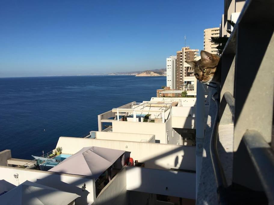 בנידורם Piso En La Primera Linea Del Mar Con 2 Dormitorios מראה חיצוני תמונה