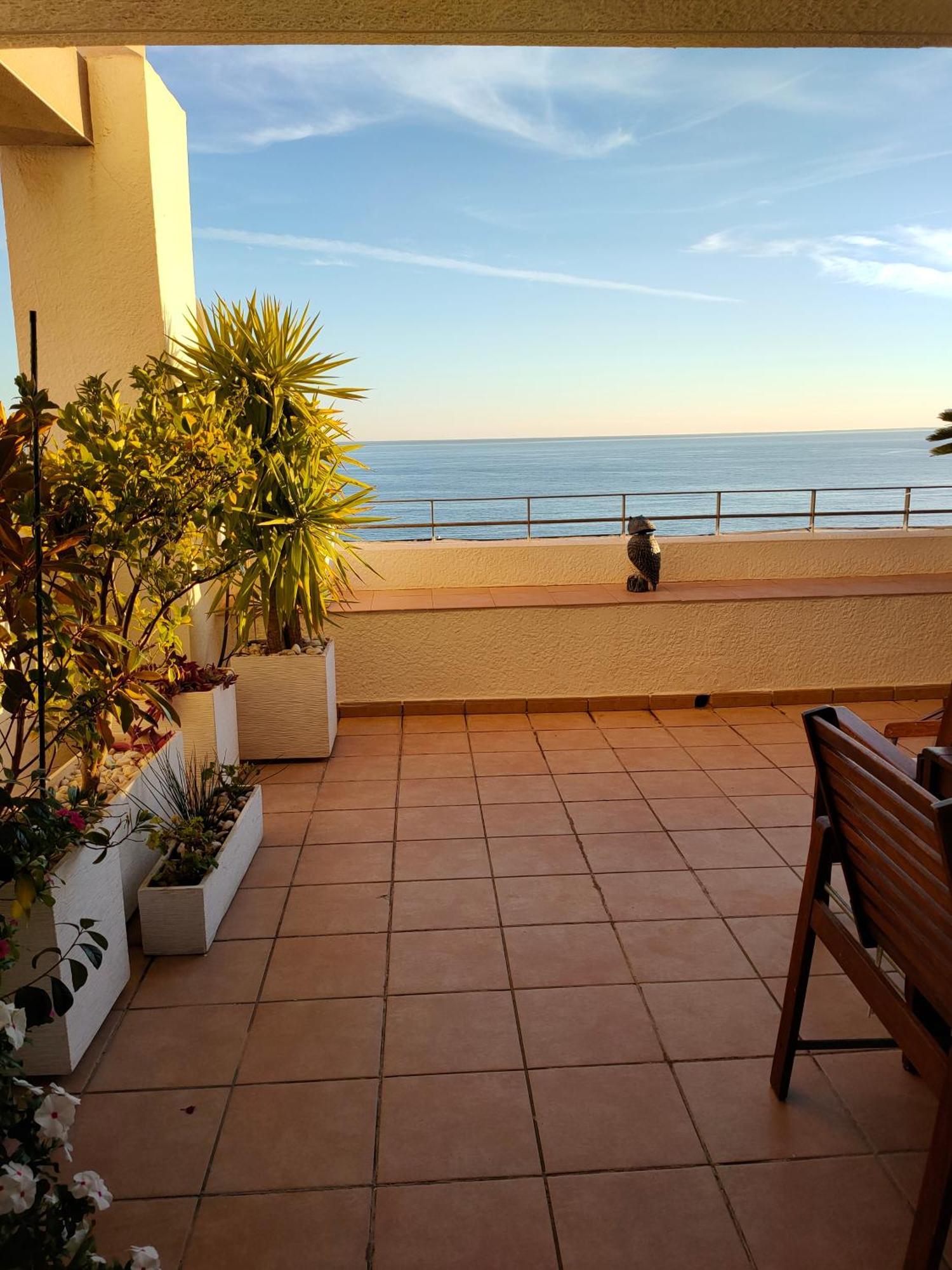 בנידורם Piso En La Primera Linea Del Mar Con 2 Dormitorios מראה חיצוני תמונה